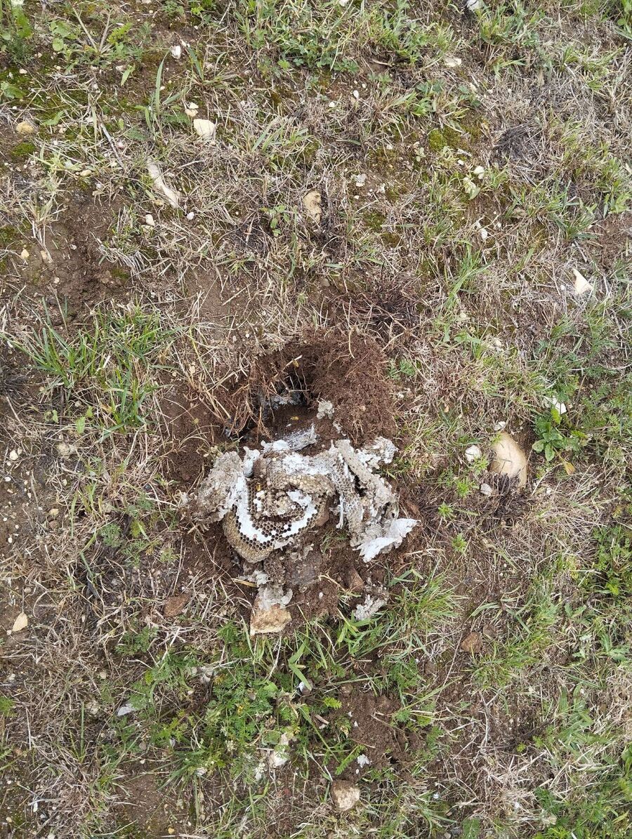 enlever un nid d abeille