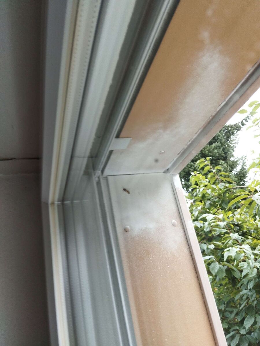 enlever un nid d abeille