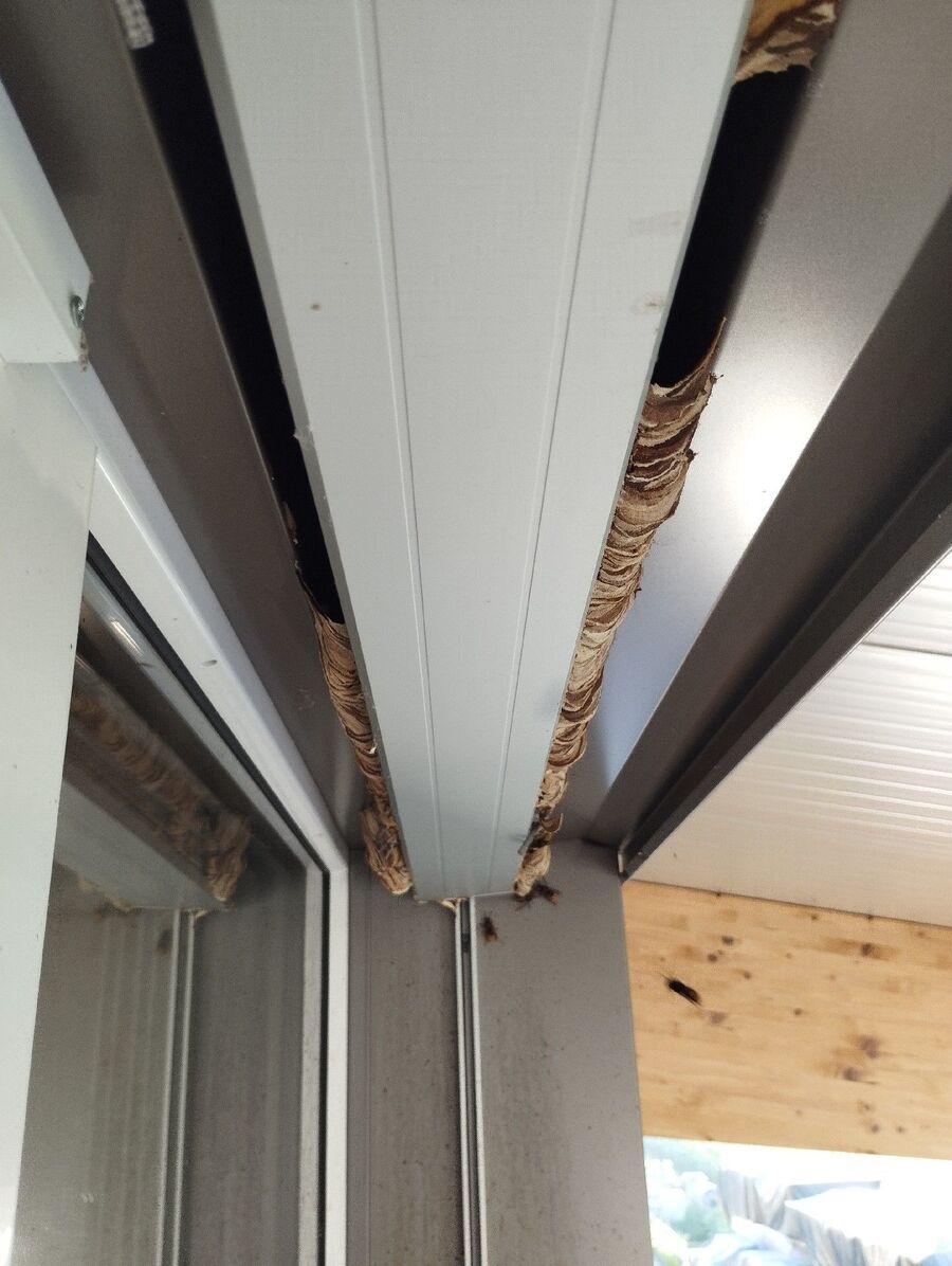 nid d abeille que faire