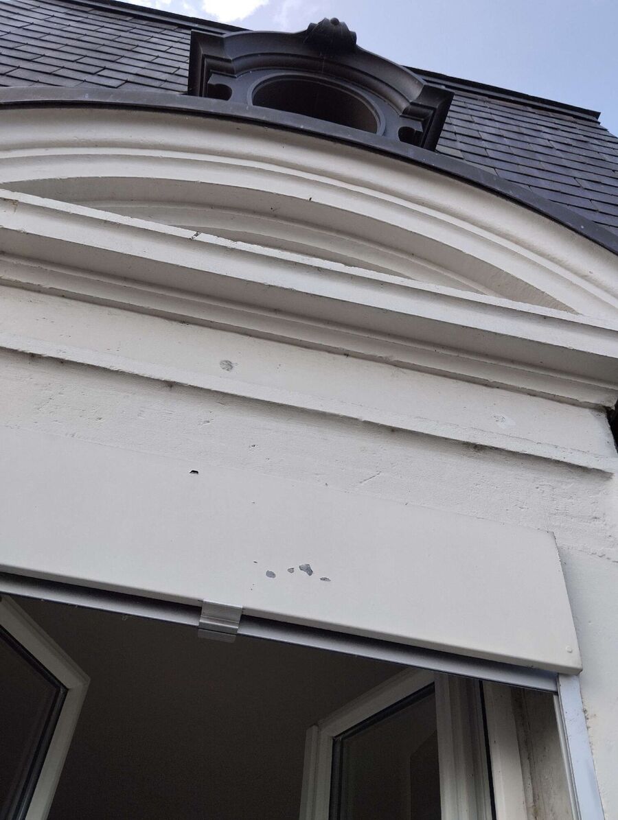 nid d abeille que faire