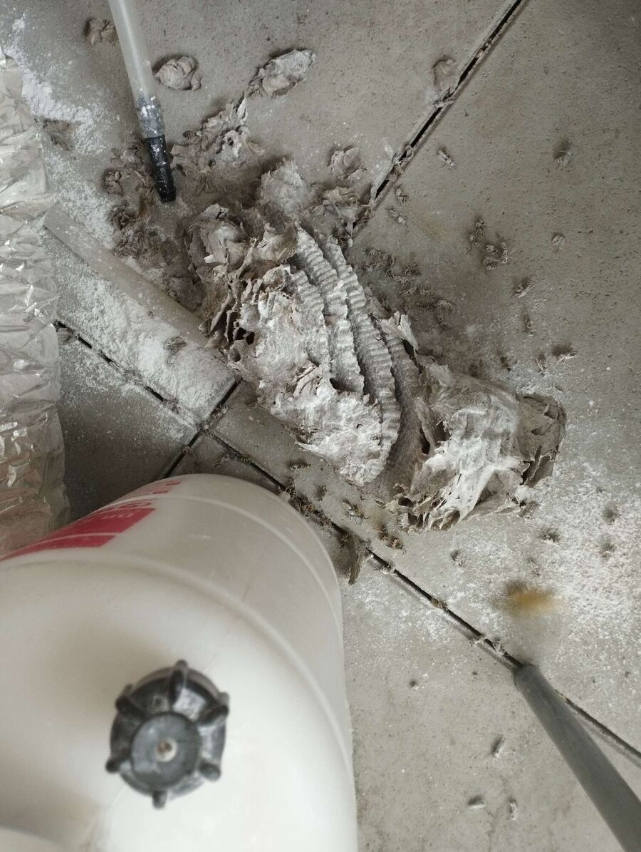 enlever un nid d abeille