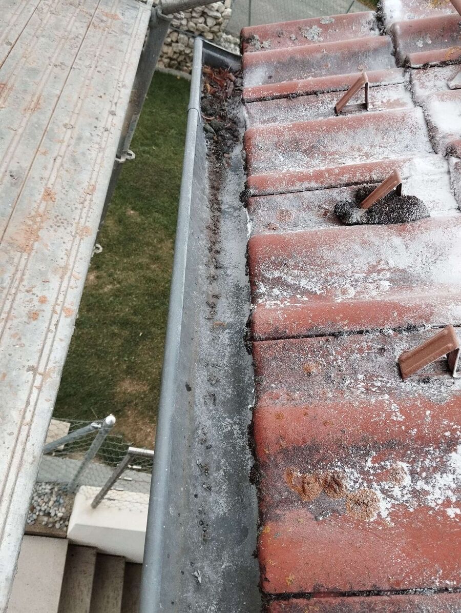 essaim d abeille enlevement