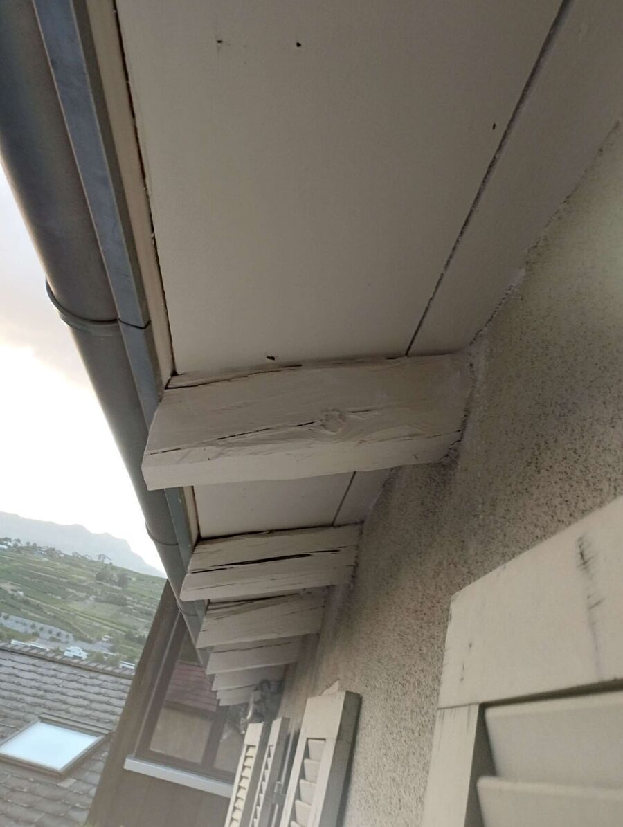 nid d abeille que faire