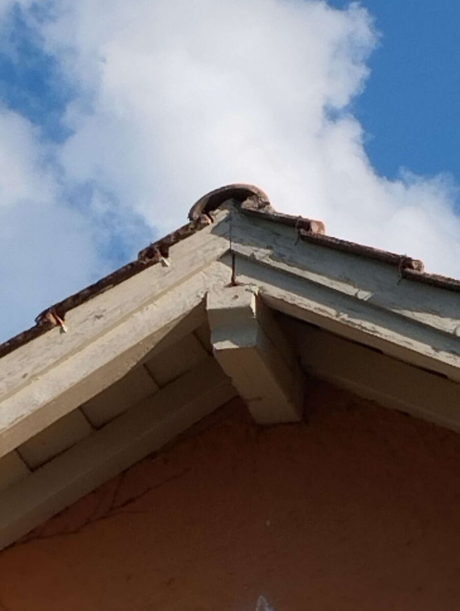 essaim d abeille enlevement