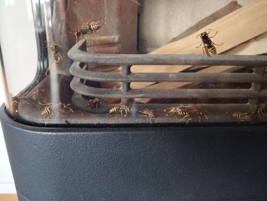 enlever un nid d abeille