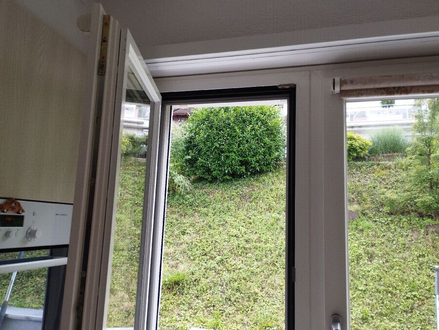 ruche abeille maison que faire