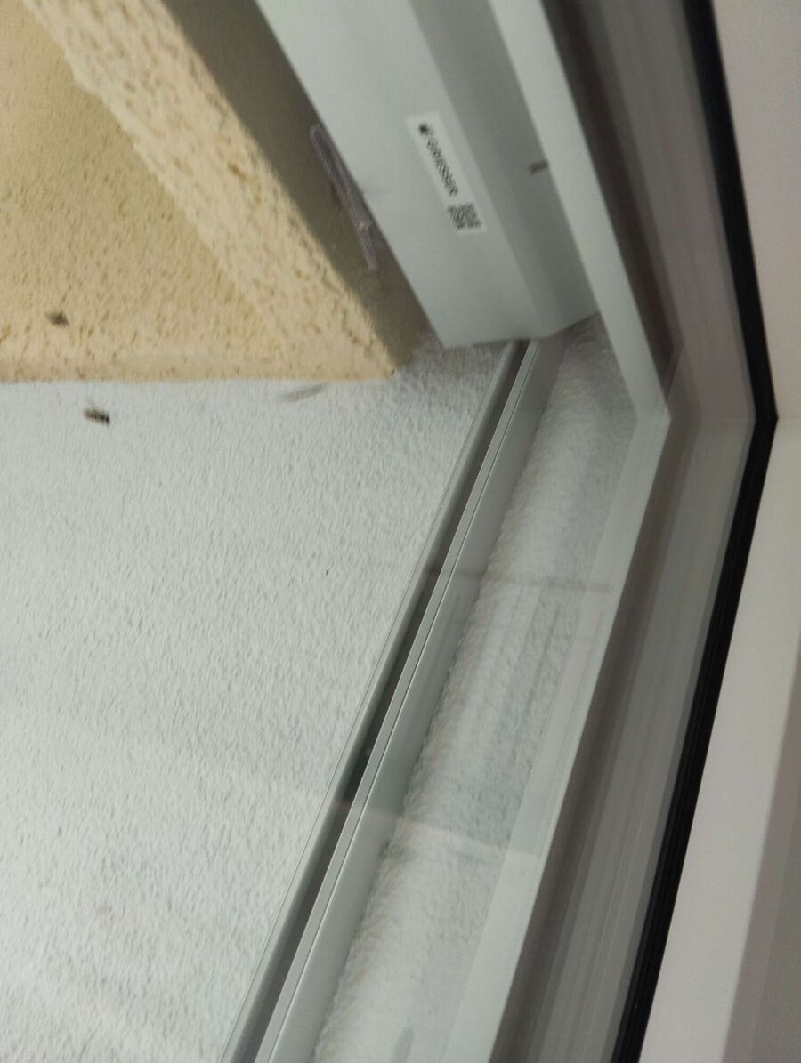 essaim d abeille enlevement