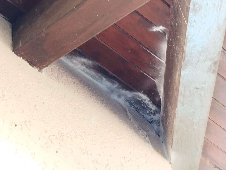 enlever un nid d abeille