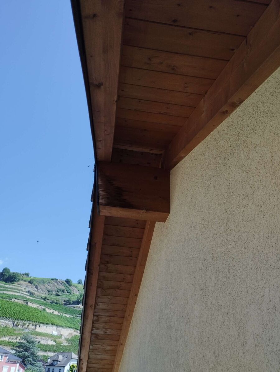 essaim d abeille enlevement