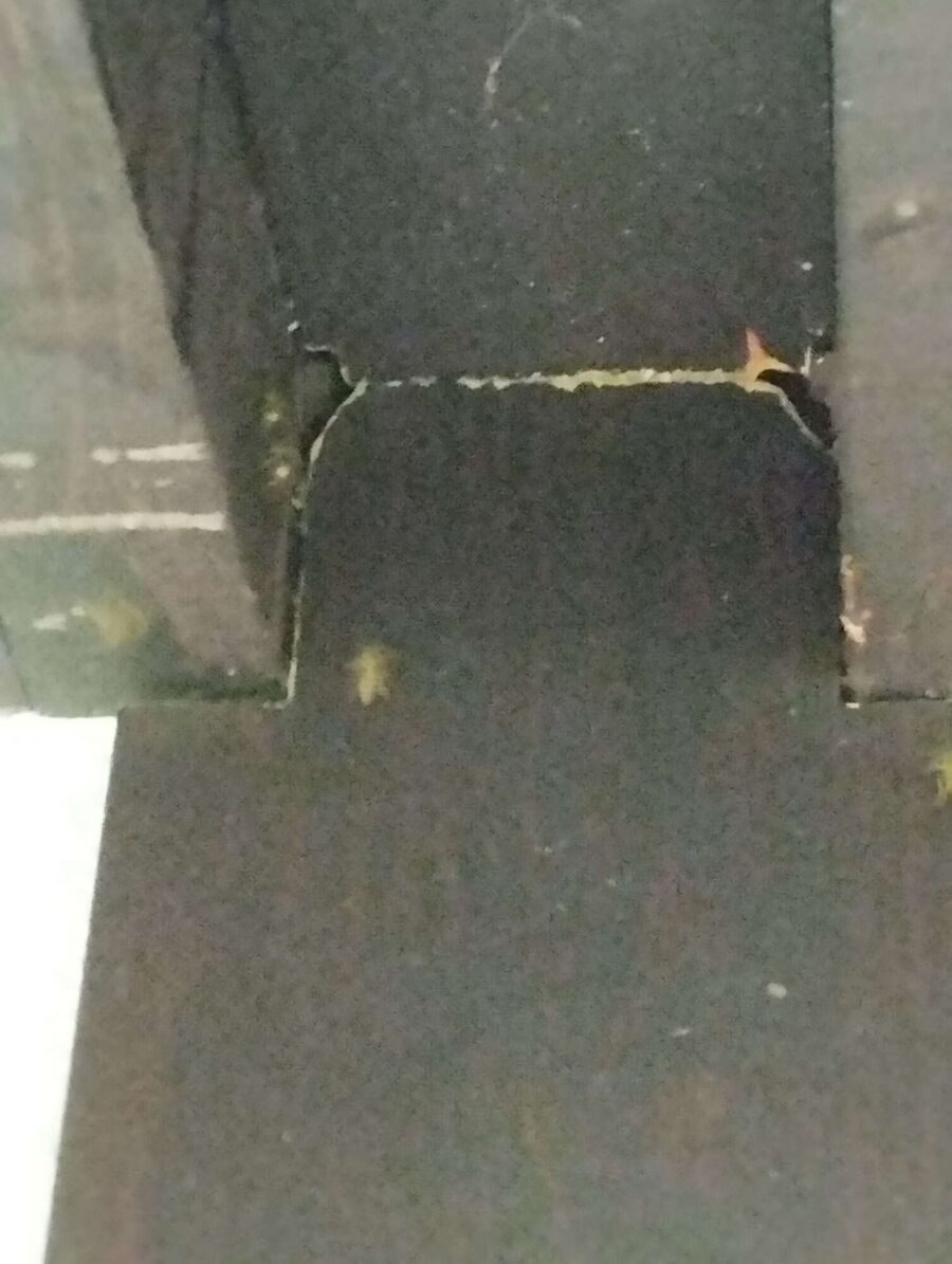 nid d abeille que faire