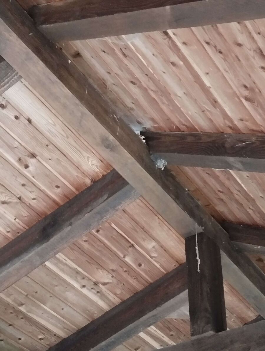 enlever un nid d abeille