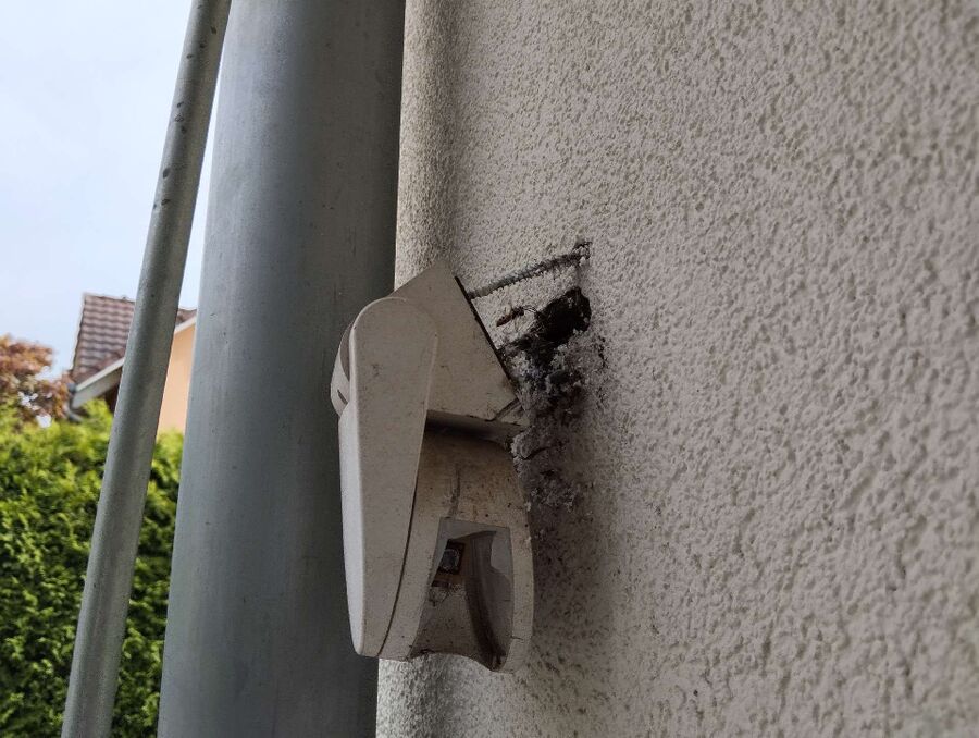 nid d abeille que faire