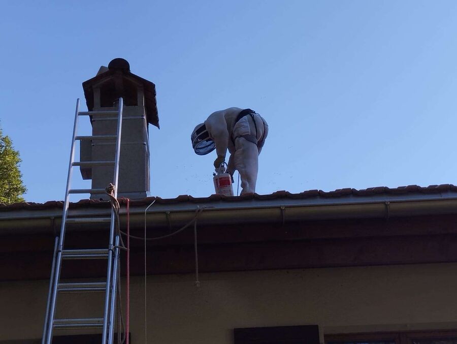 essaim d abeille enlevement