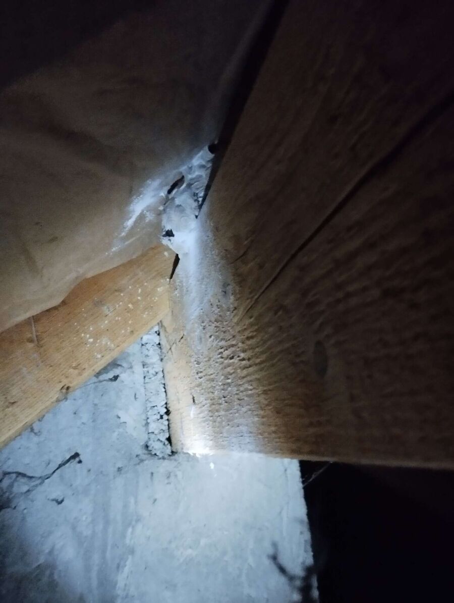 nid d abeille que faire