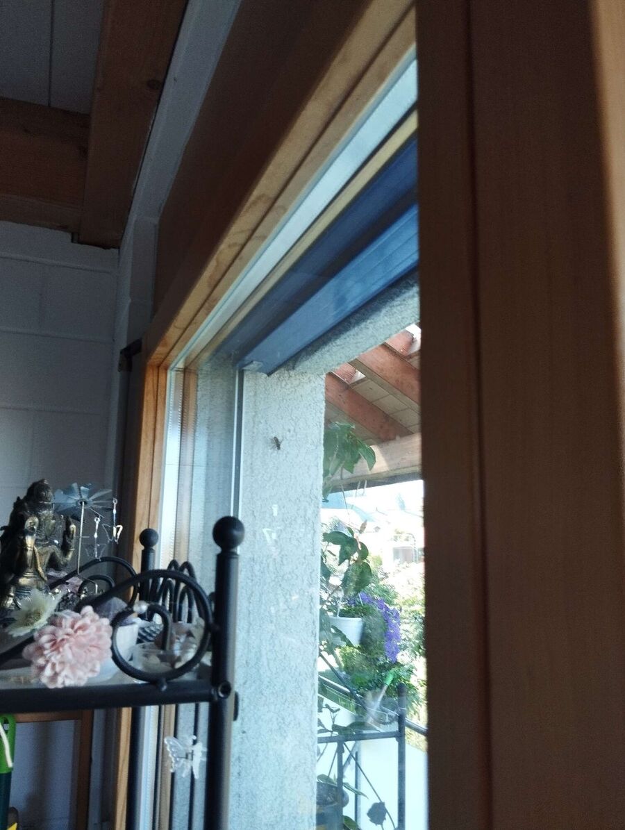 enlever un nid d abeille