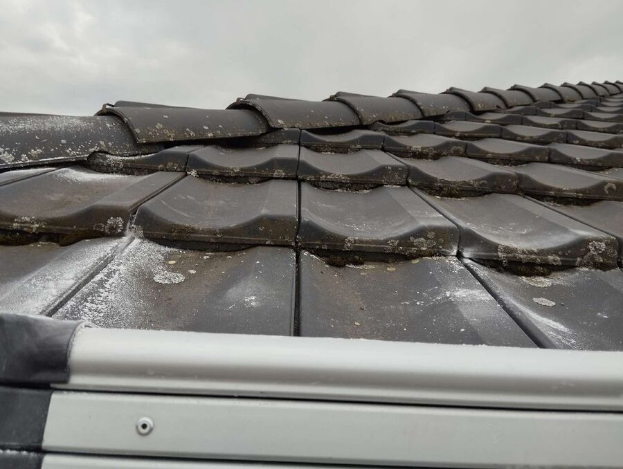 nid d abeille que faire