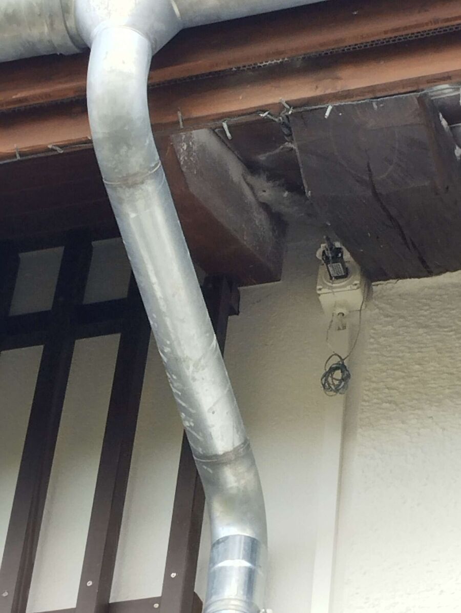 nid d abeille que faire