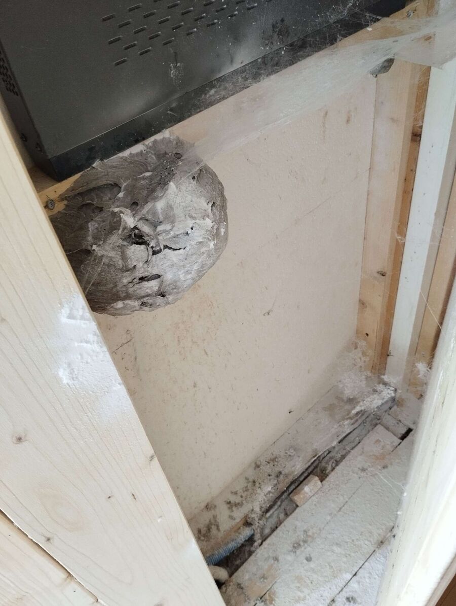 enlever un nid d abeille