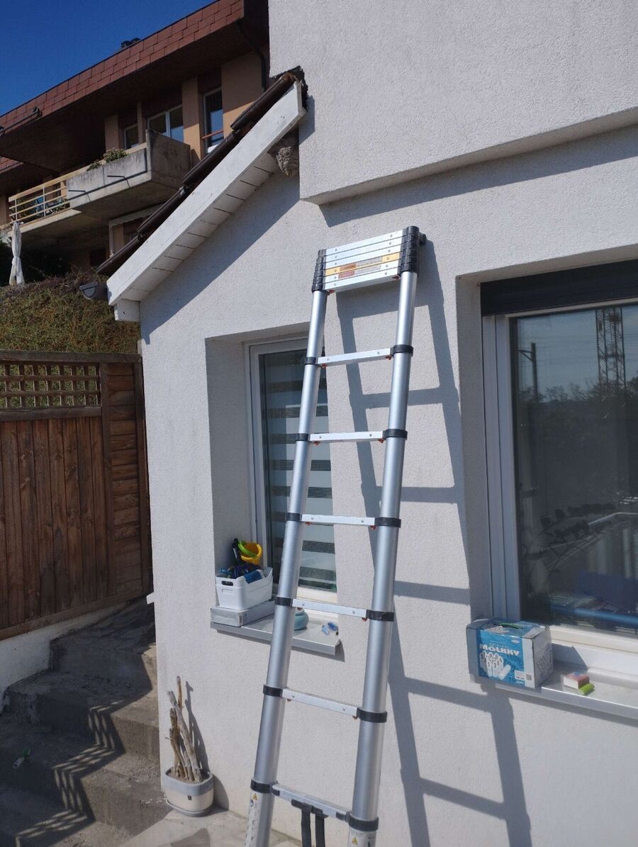 ruche abeille maison que faire