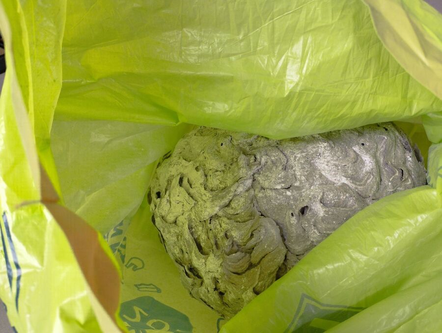 nid d abeille que faire