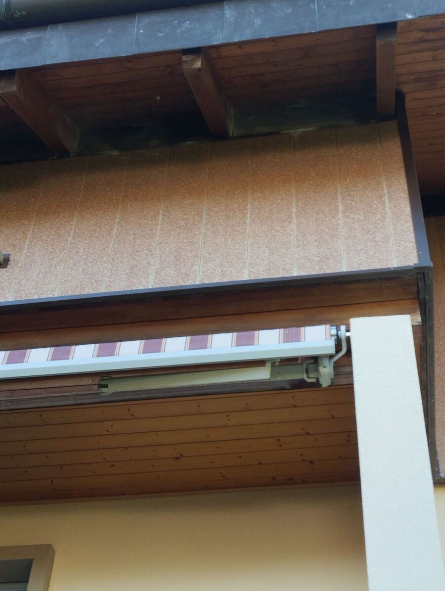 essaim d abeille enlevement