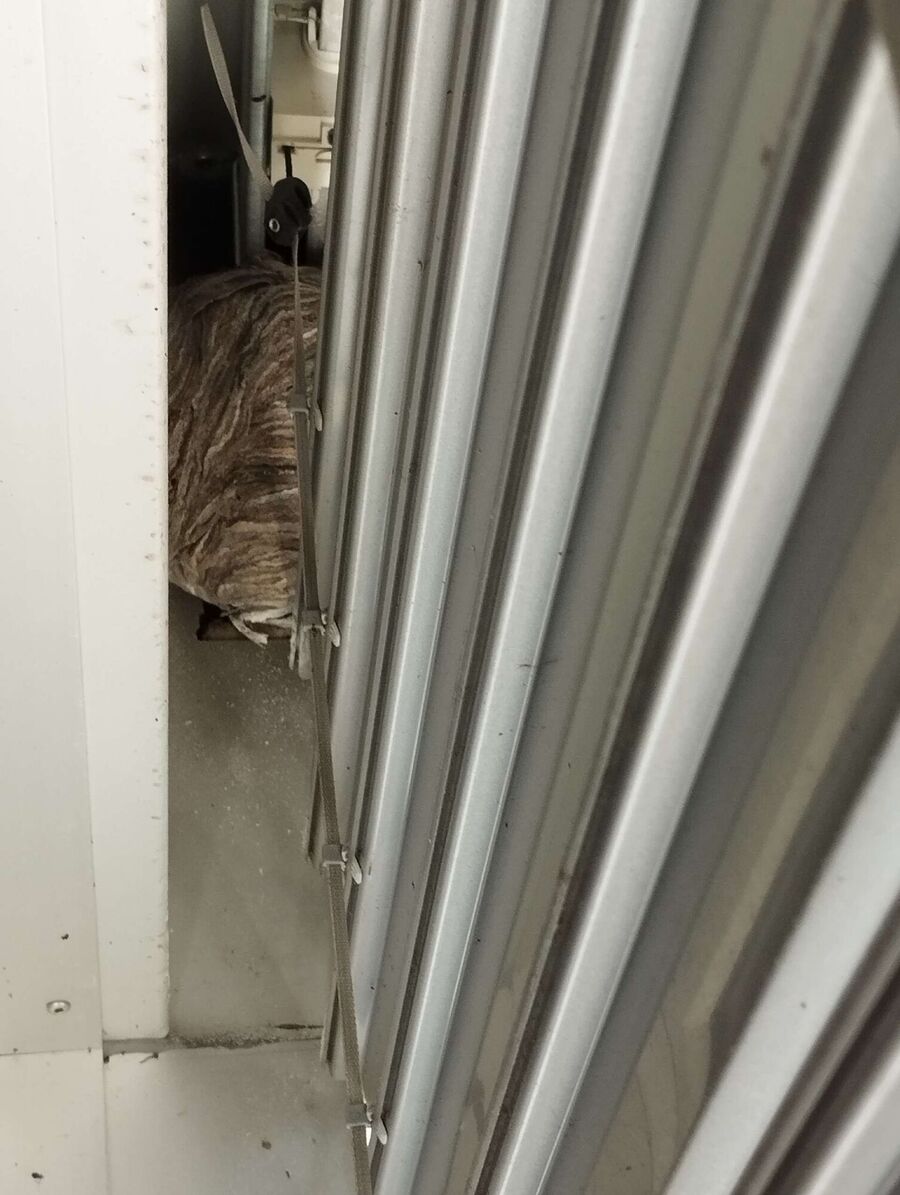 nid d abeille que faire