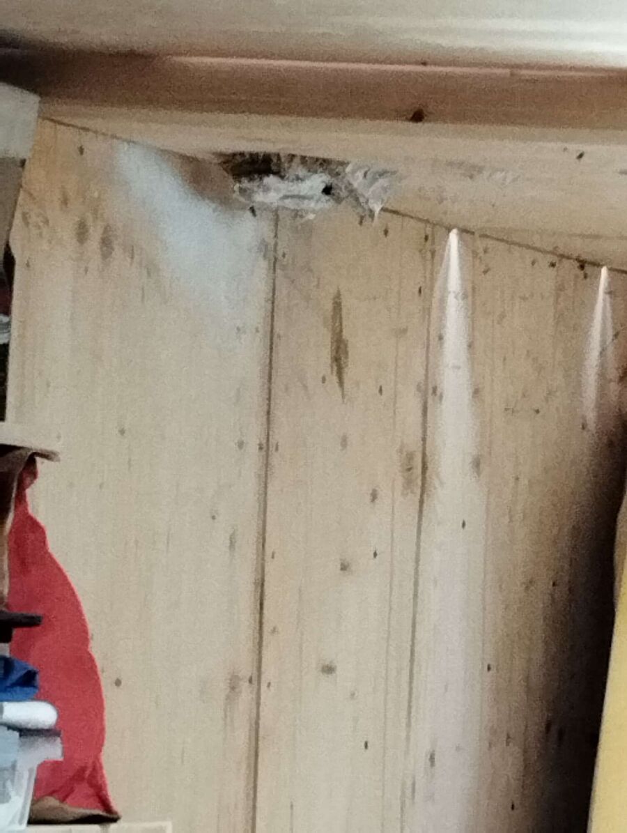 enlever un nid d abeille