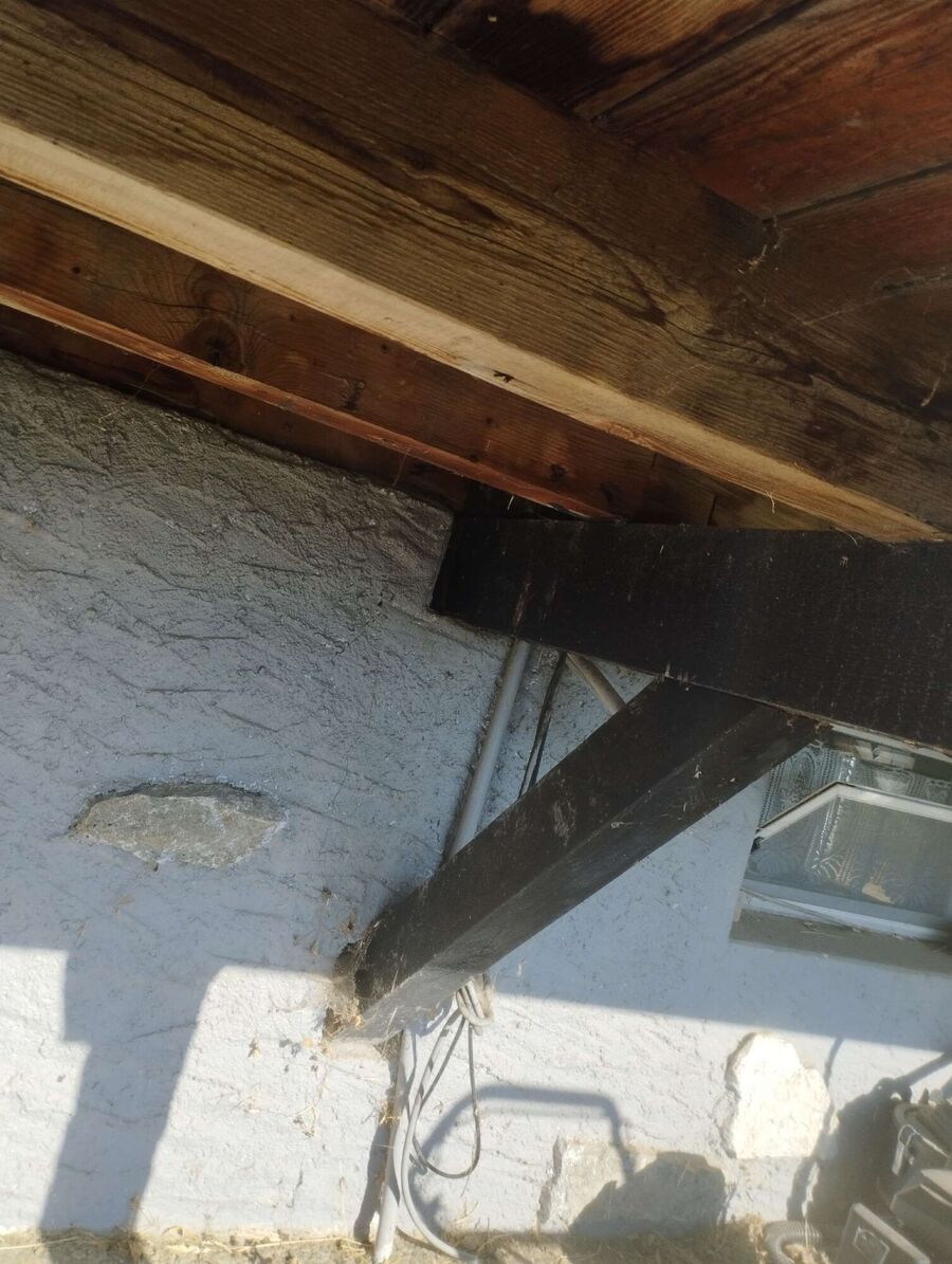 nid d abeille que faire