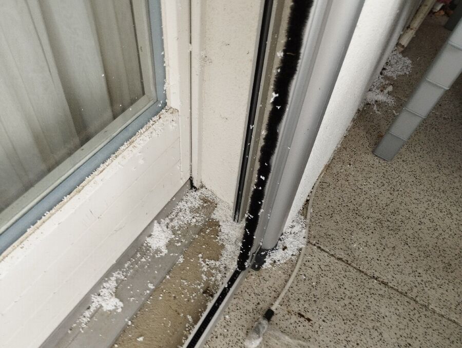 ruche abeille maison que faire