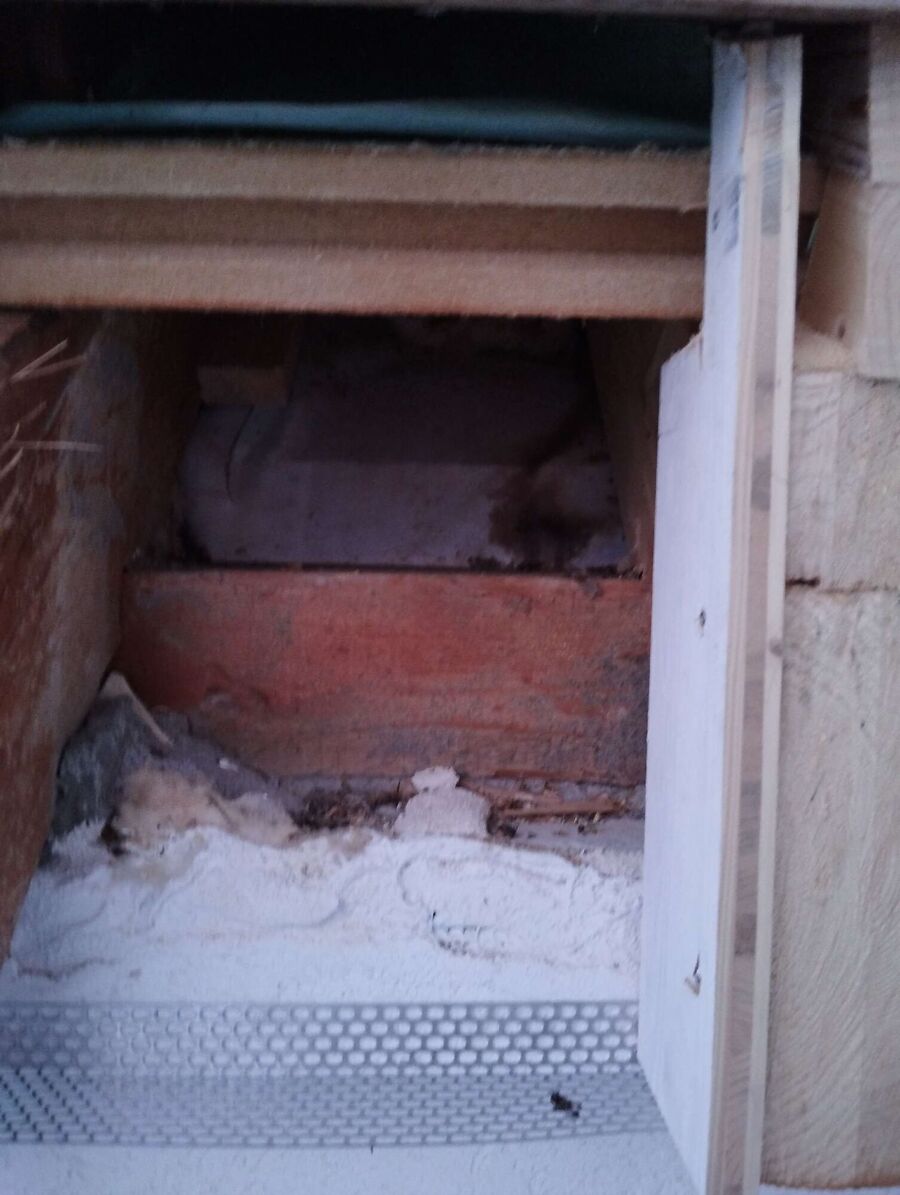 enlever un nid d abeille