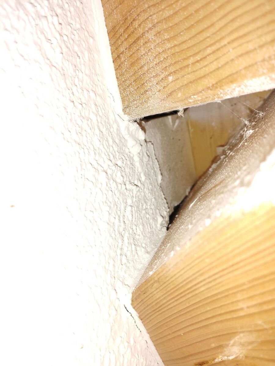 nid d abeille que faire