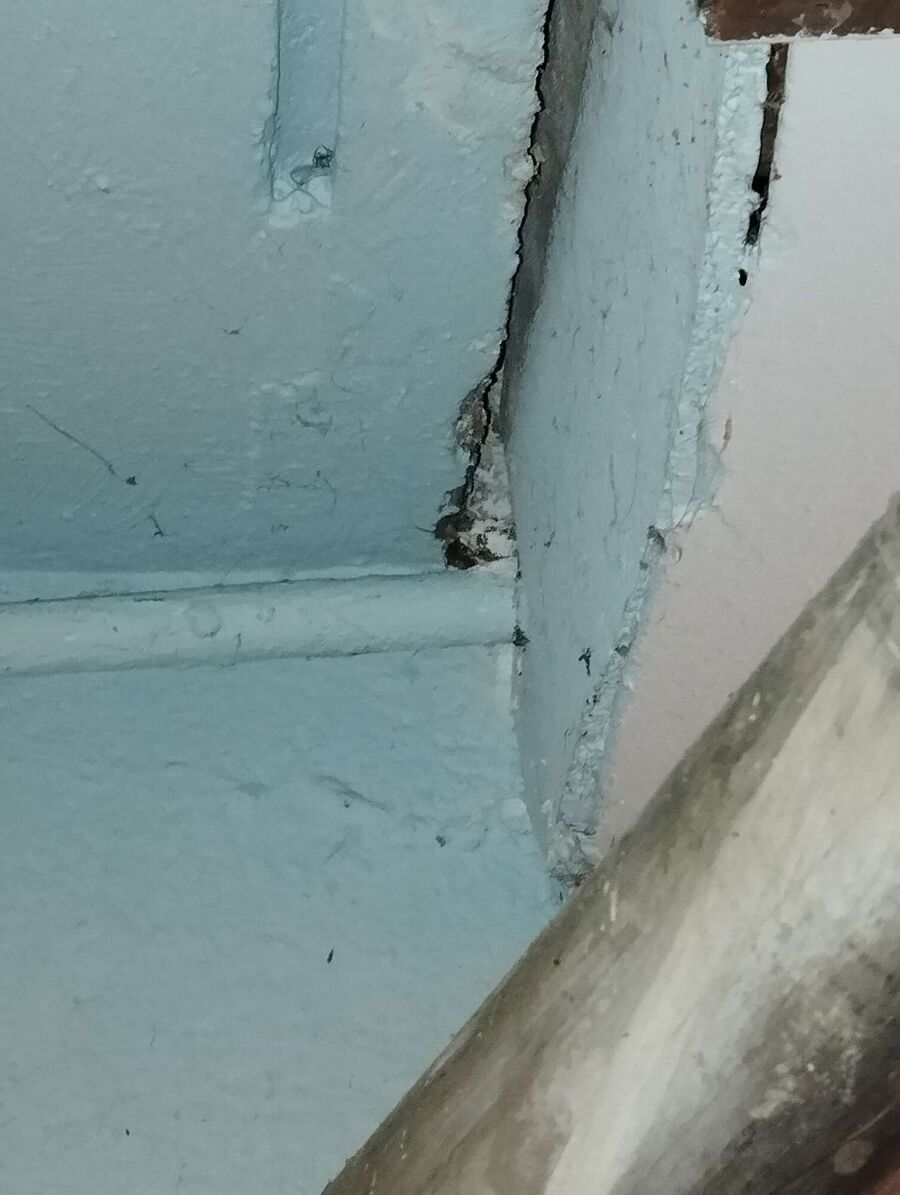 enlever un nid d abeille