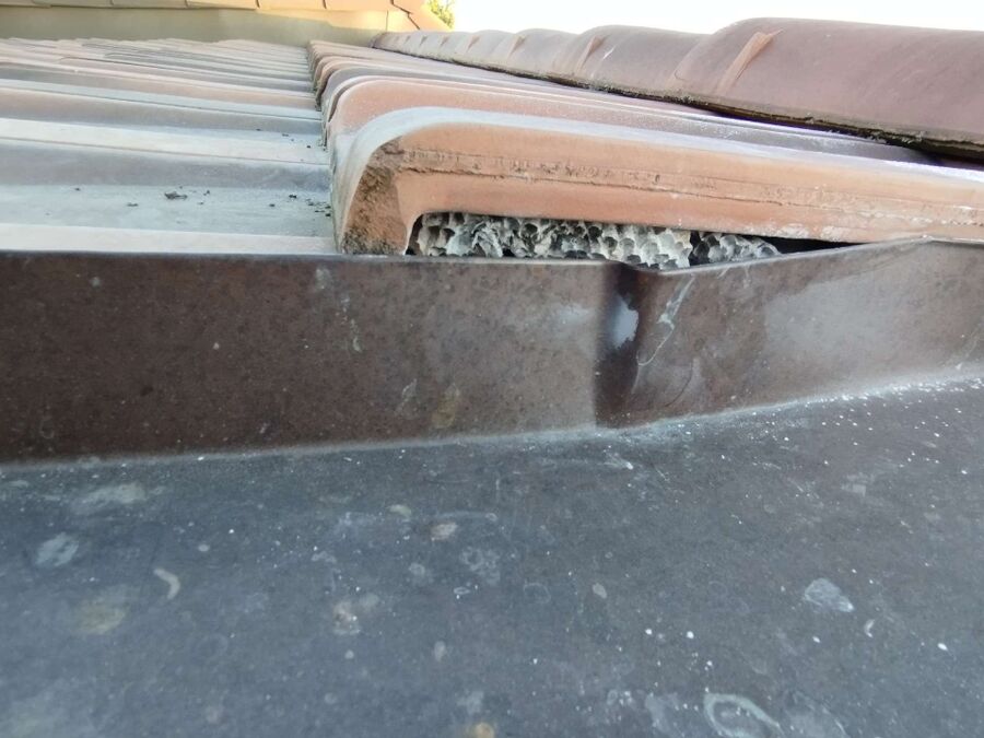 nid d abeille que faire