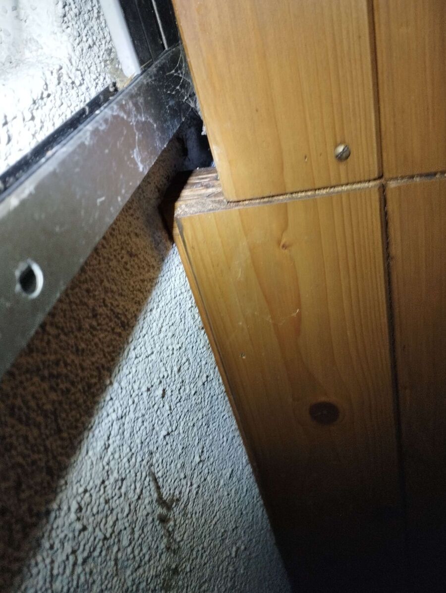 essaim d abeille enlevement