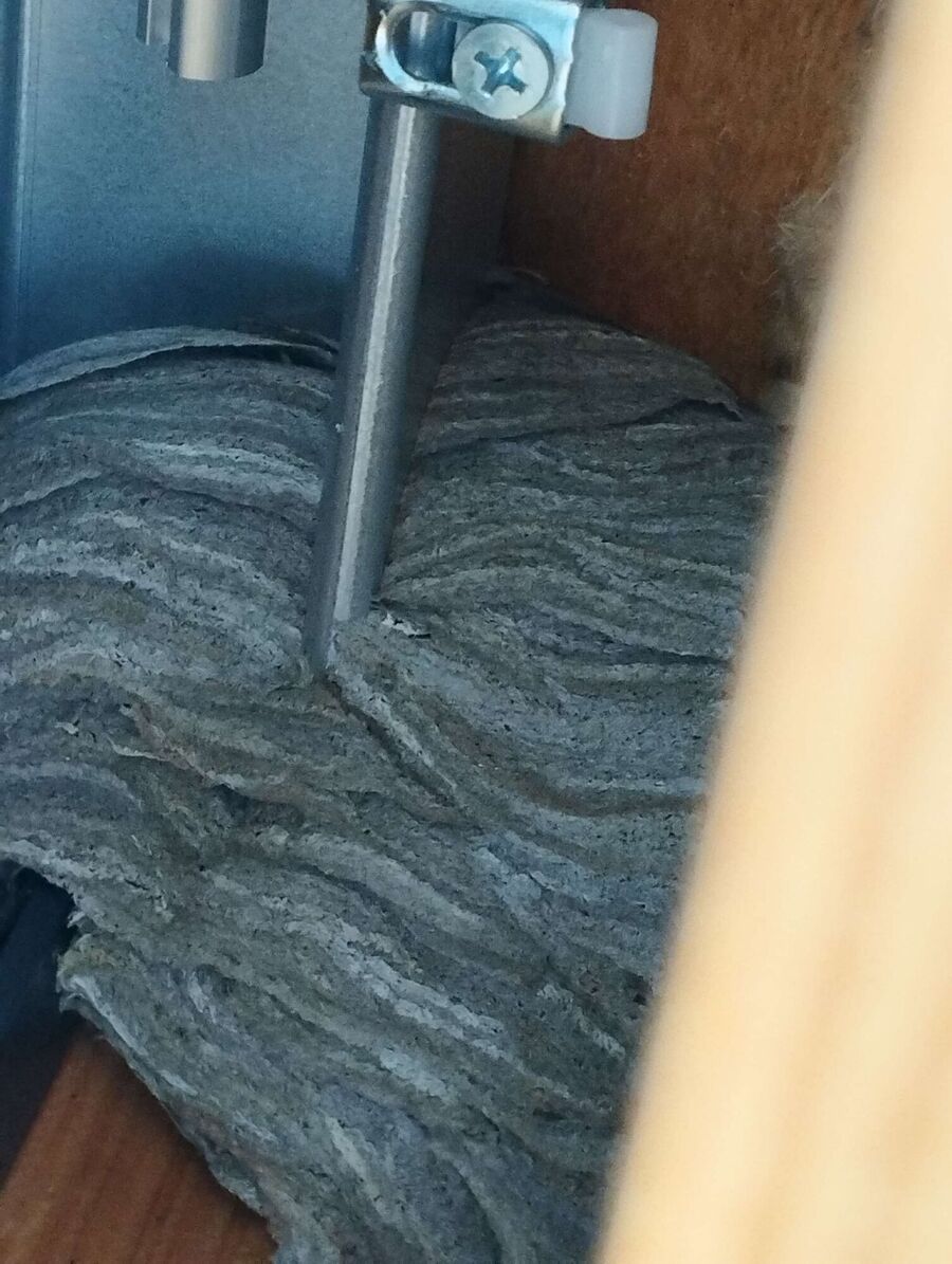 nid d abeille que faire