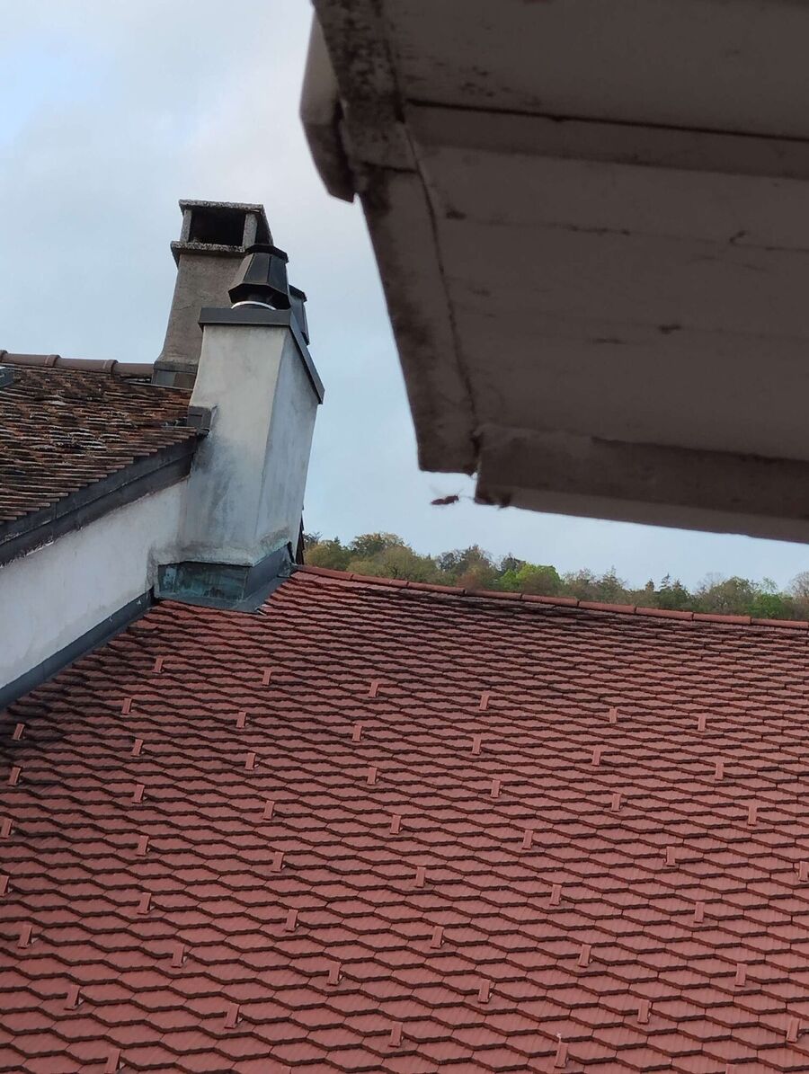 nid d abeille que faire