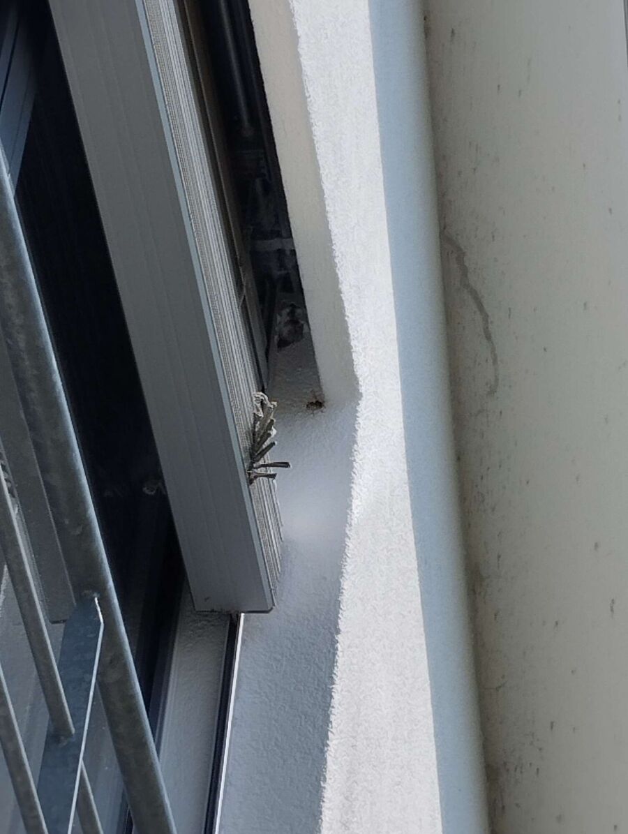 nid d abeille que faire