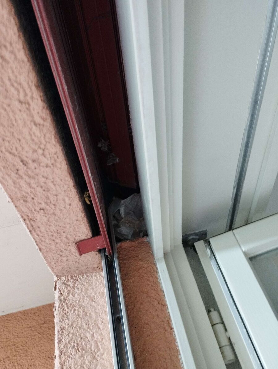 ruche abeille maison que faire