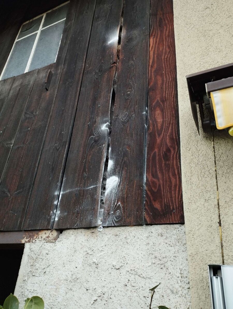 nid d abeille que faire