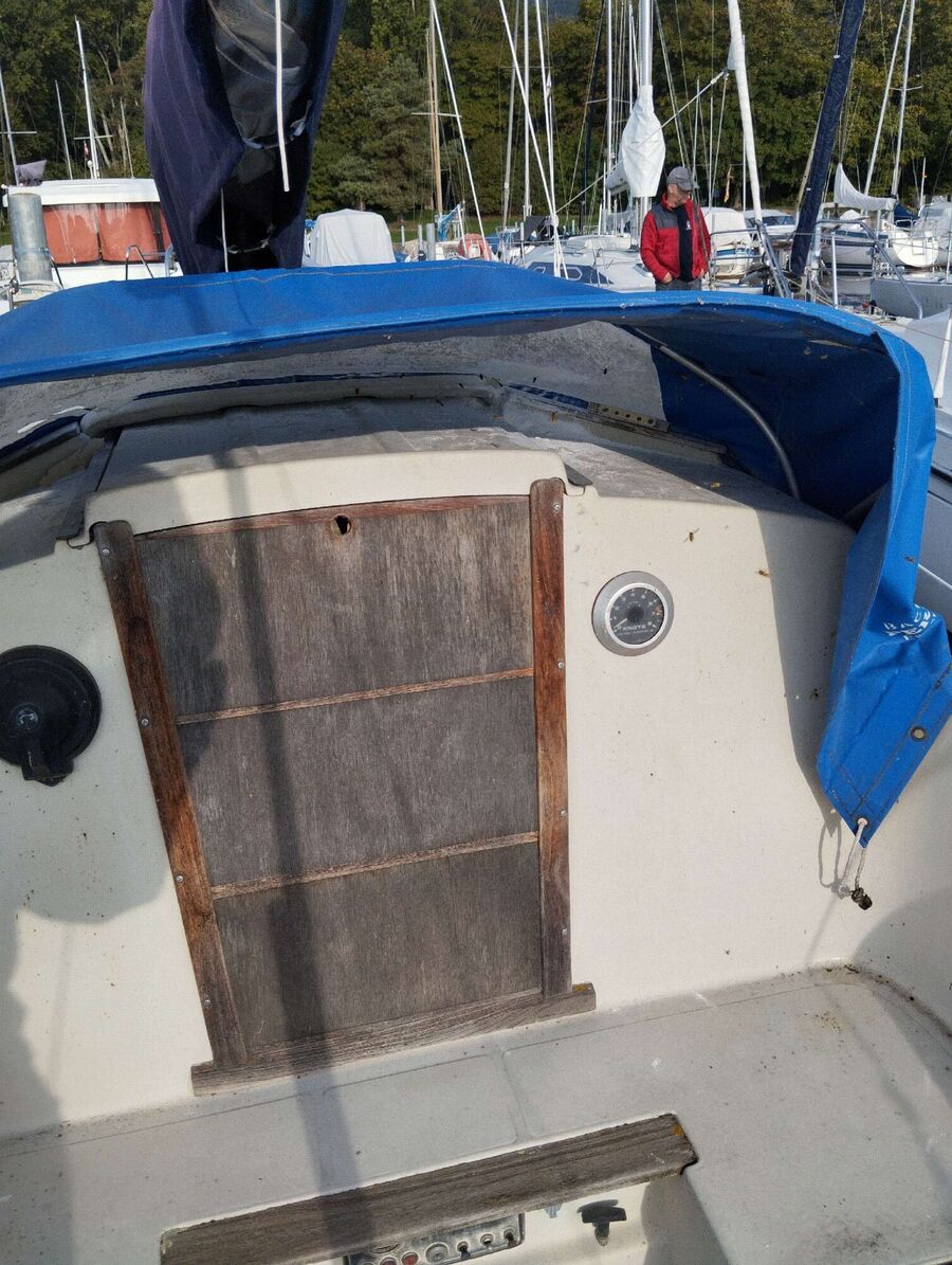 essaim d abeille enlevement