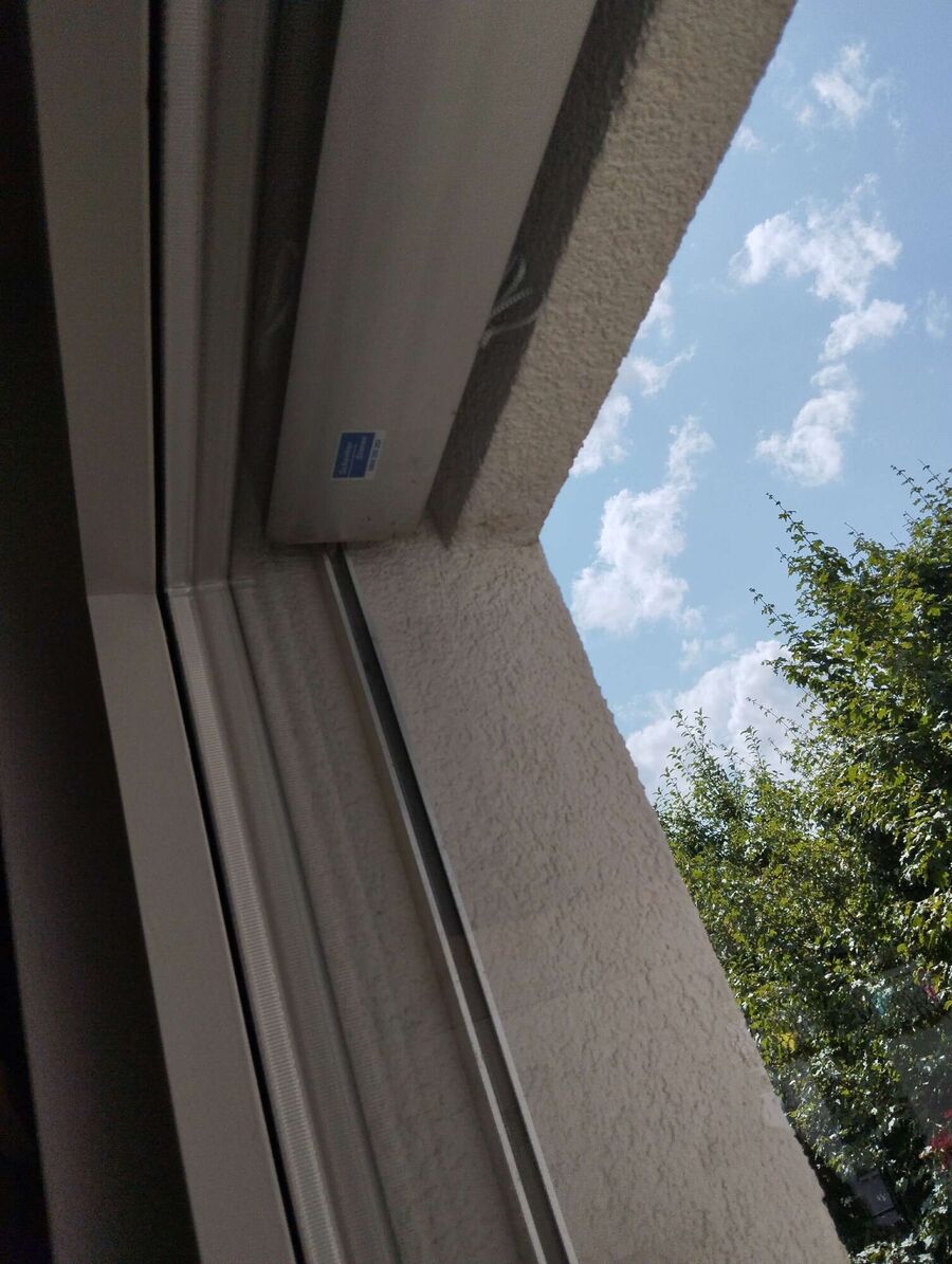 essaim d abeille enlevement