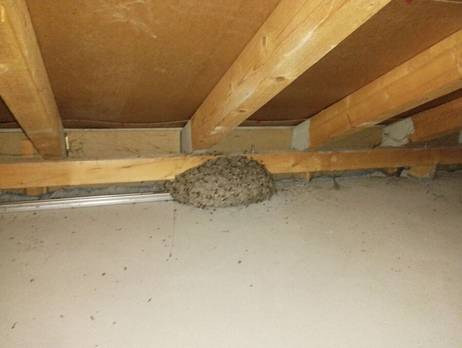 enlever un nid d abeille