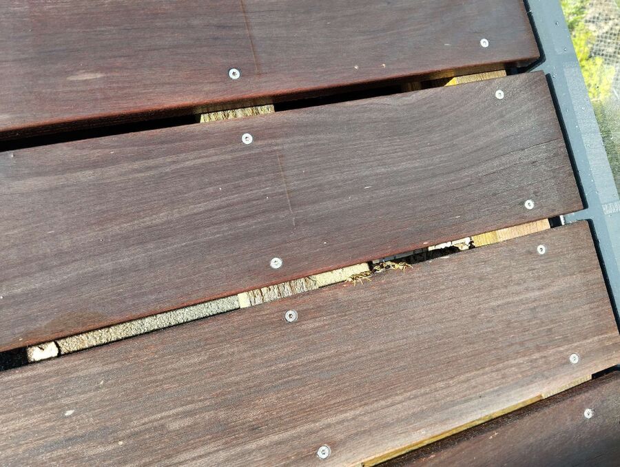 enlever un nid d abeille