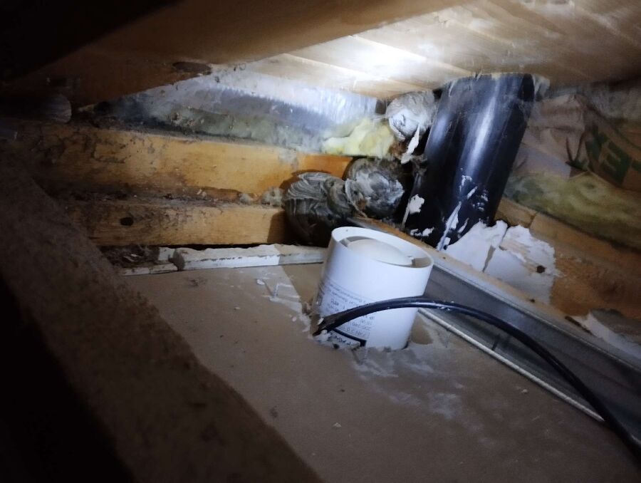 nid d abeille que faire