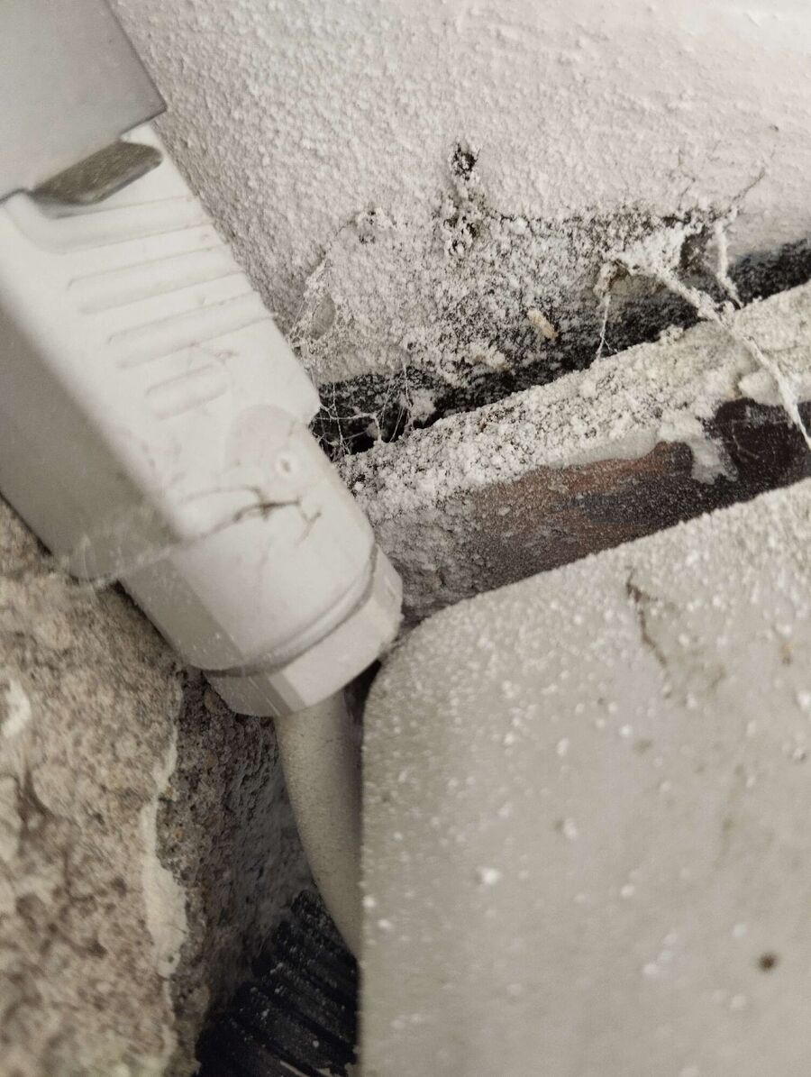 enlever un nid d abeille