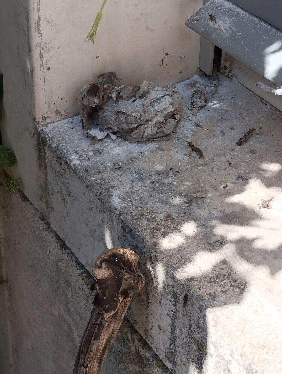 nid d abeille que faire