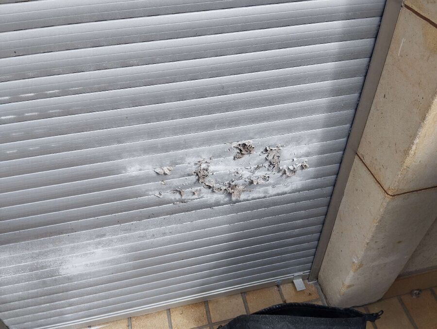 ruche abeille maison que faire