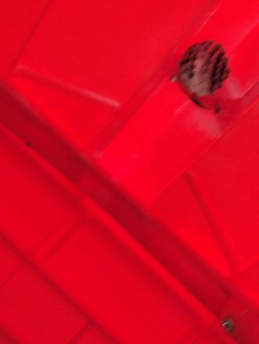 enlever un nid d abeille