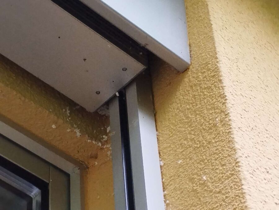 enlever un nid d abeille