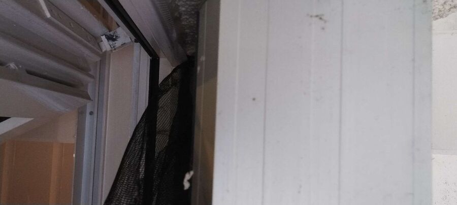 ruche abeille maison que faire